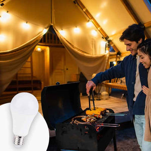 Bombilla 12-24V DC 8W E27 A60 para caravanas, camping y embarcaciones (5)