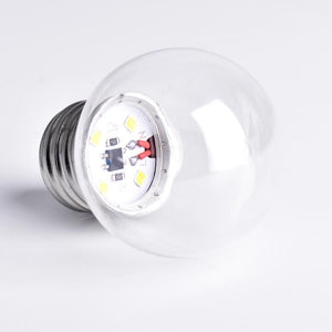 Bombilla LED E27 1W Transparente (2)