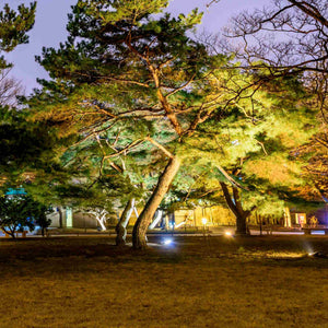 Proyector LED exterior 35W CCT - Serie "PRO" - 110lm/W - IP66 (16)