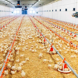 Luminaria estanca tubular para uso industrial - 120cm - 30W - IP65 - IK10 (1)